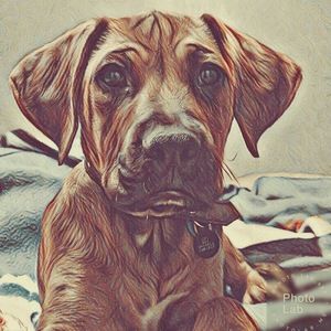 Meet your Posher, Kyarie